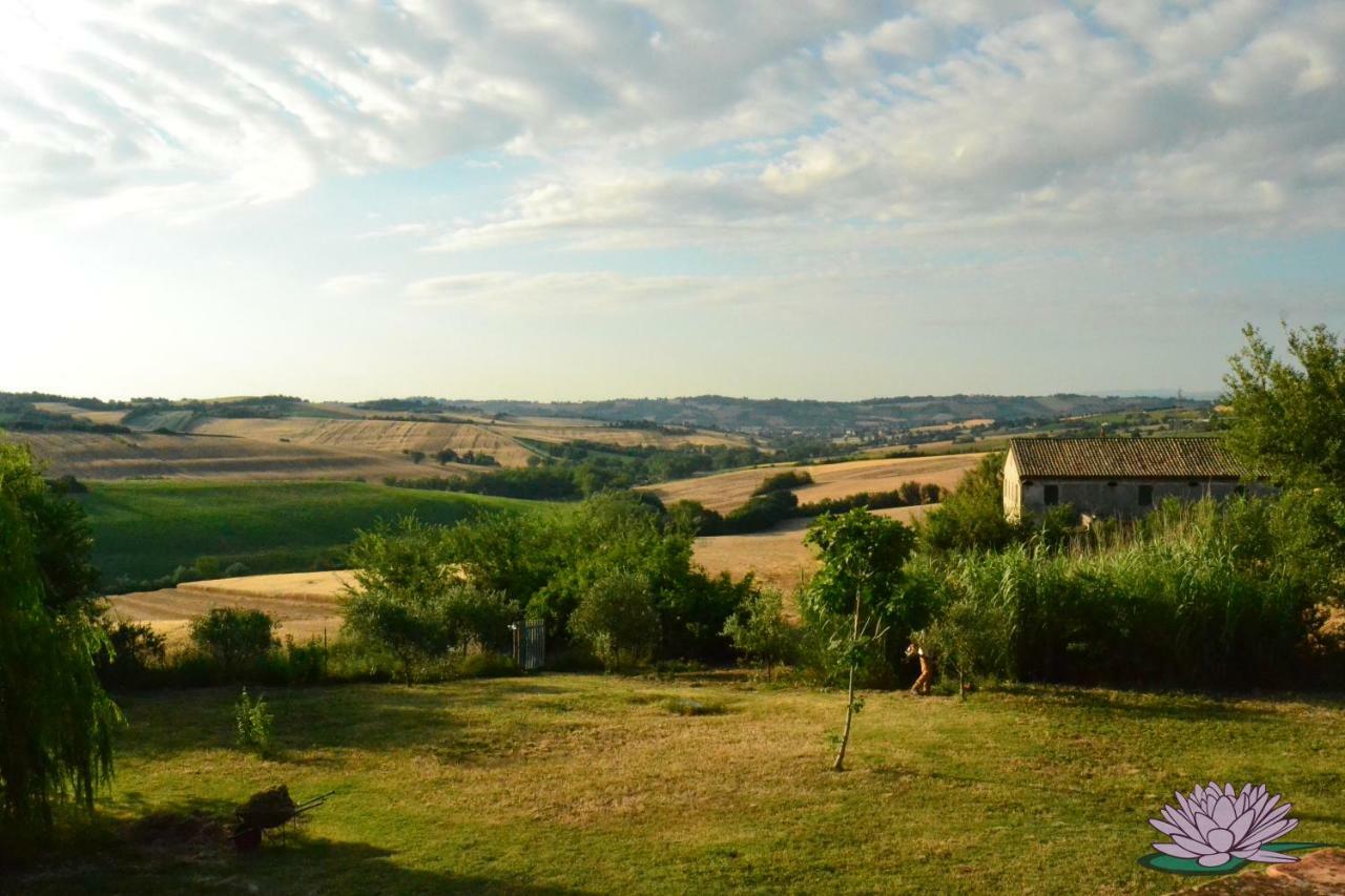 B&B Le Tamerici San Giorgio di Pesaro Extérieur photo